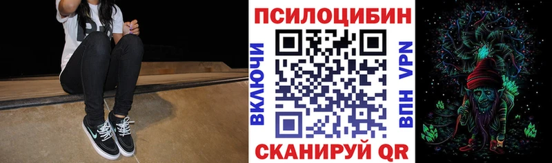 MEGA как зайти  закладка  Сенгилей  Галлюциногенные грибы Cubensis 